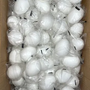 Detailansicht weißer Simulations-Drückereier, Anti-Stress-Spielzeug im Karton verpackt.