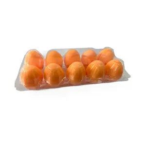 Kreatives Anti-Stress Squeeze Spielzeug Set mit zehn orangen Simulations Eiern in transparenter Box.