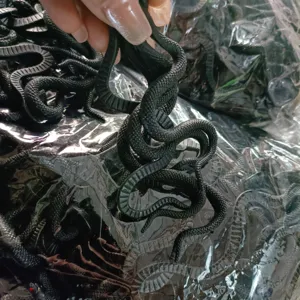 Gros plan détail de serpents jouets en caoutchouc noir souple, texture réaliste.