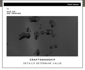 Affichage des détails étanches du sac de sport pour homme, haute résistance à l'eau.