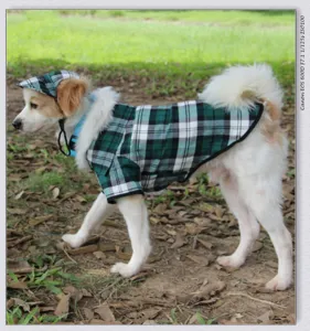 Detailed view of pet dog plaid shirt and matching cap set, cute outfit for small dogs.