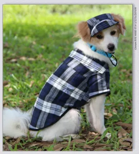 Pet dog blue plaid baseball cap and matching shirt set, cute puppy outdoor fashion accessories.