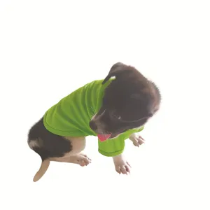 Detailansicht des atmungsaktiven grünen Haustier-T-Shirts mit weichem Stoff und passend.