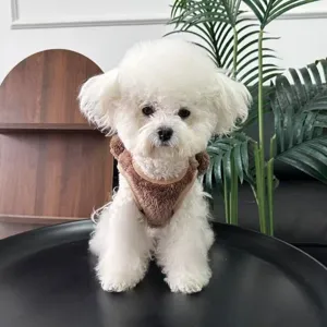 Gezellig herfst winter fleece huisdier vest voor kleine honden zachte pluche puppy warme kleding.