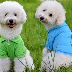 Atmungsaktives reines Baumwoll Hunde Polo Shirt Haustierkleidung Sommerwelpen Oberteil