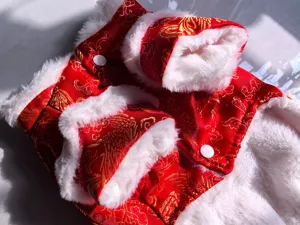 Festief Chinees stijl huisdier Tang pak voor honden en katten, warme rode winterjas.