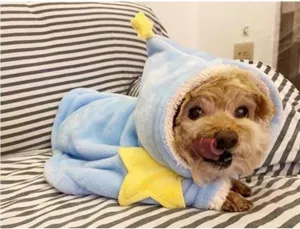 Cute winter pet cape pajamas for small dogs and cats, soft blue fleece cloak with yellow stars.