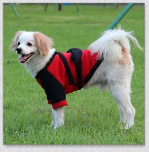 Détails du costume de samouraï rouge et noir pour animal avec lien dorsal unique.