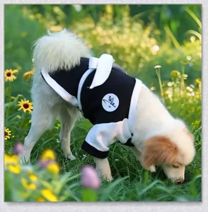 Mignon automne hiver chaud vêtements pour chien costume de samouraï petits animaux détails