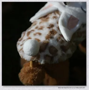 Close-up detail of plush pet clothes with leopard print and cute rabbit ear design.