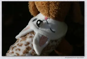 Close-up detail of plush dog costume with embroidered rabbit face and leopard print body.