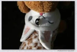 Detailed close-up view showing cute pet dog clothing with plush rabbit ears design.
