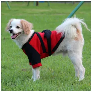 Vue détail costume samouraï chien de compagnie, vêtements d'hiver chauds rouges et noirs.