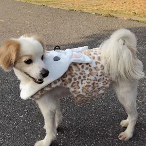 Cute plush leopard print dog costume featuring a funny rabbit head design for small pets.