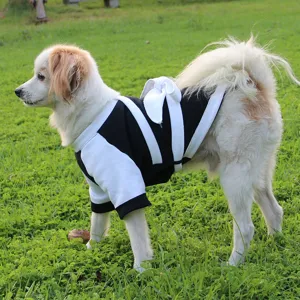 Joli costume de samouraï pour chien en automne et hiver, vêtements amusants pour petits animaux
