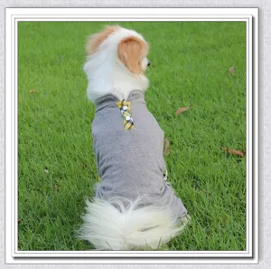 Detailed shot of a grey four-legged pet clothes with yellow plaid collar for small dogs in lawn