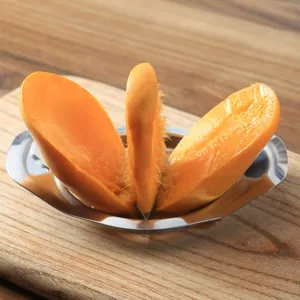 Utensile tagliamango in acciaio inossidabile e divisore di frutta per rimuovere il nocciolo.
