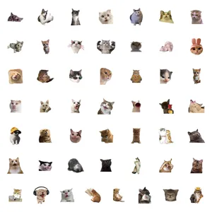 Simpatici adesivi con meme di gatti divertenti impermeabili in vinile per computer portatile 50pz