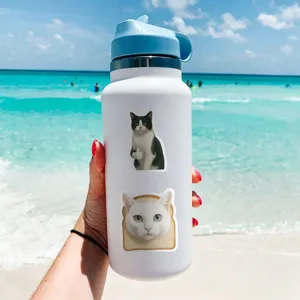 Borraccia in acciaio inossidabile con simpatici adesivi di gatti spiaggia portatile