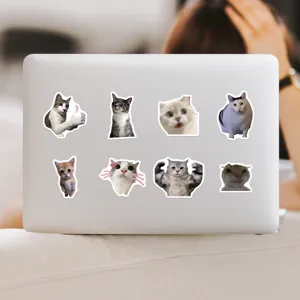 Adesivi impermeabili con espressione di gatto divertente per laptop e bottiglia d'acqua.