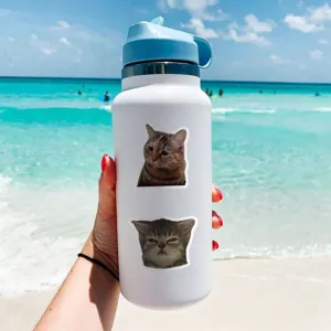 Borraccia con simpatici adesivi di gatti, decalcomania impermeabile per tazza e computer.