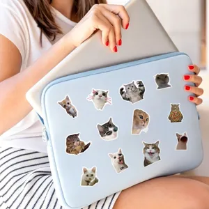 Simpatici adesivi meme gatto impermeabili in vinile per laptop bottiglia acqua 50 pezzi.