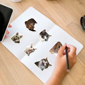 Set di adesivi impermeabili con meme di gatti carini per diari, laptop, bottiglie d'acqua e fai da te.