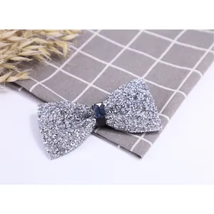 Sparkling silver rhinestone crystal bow tie detail shot, elegant formal accessory.