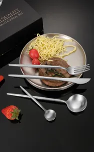 Set di posate in acciaio inossidabile spazzolato lucidato coltello forchetta cucchiaio scatola