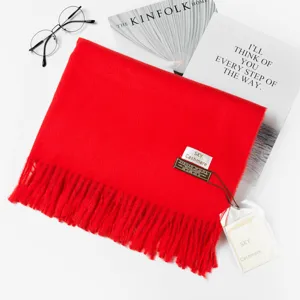 Einfarbig Imitation Kaschmir Schal Winter Warm Quaste Schal Verdickt Weich Lange Schals Für Damen Herren Mode