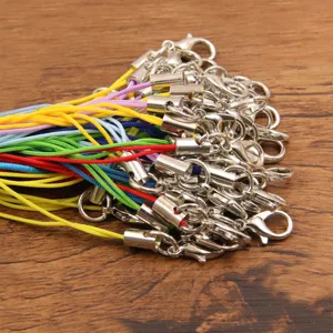 Πολύχρωμα κορδόνια τηλεφώνου DIY με κούμπωμα αστακού, πολύχρωμα σχοινιά για αξεσουάρ.