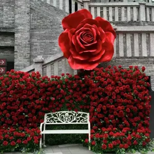 Dettaglio sfondo parete di fiori di rose artificiali con grande rosa rossa e panchina bianca.