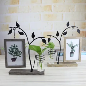 Desktop hanging photo frame with hydroponic glass vase, wooden base and iron tree branch decor.