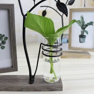 Close-up detail of the creative wooden base and glass hydroponic vase with metal art stand.
