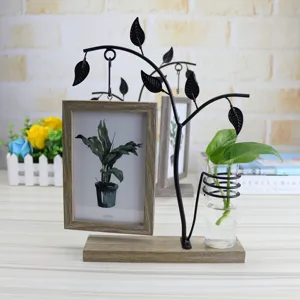 6-inch hanging double-sided photo frame with hydroponic glass vase and wooden base.