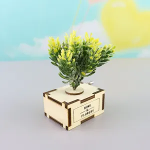Close-up detail of the wooden hand-crank music box with green artificial potted plant decor.