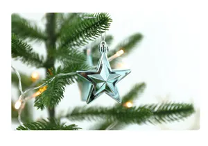 Detailed close-up of glossy silver star Christmas ornament hanging on pine tree branch.