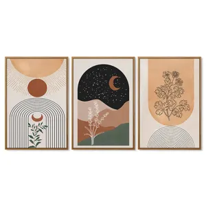 Boheemse retro canvas wanddecoratie set van drie ingelijste abstracte botanische prints.