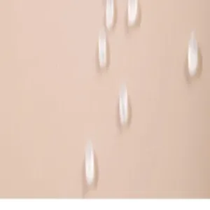 Transparente Kunststoff-Staubschutzfolie fur den Mobelschutz und Renovierungsdetails