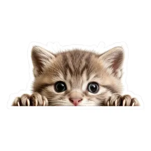 Niedlicher Katzen Wandaufkleber PVC süßes Kätzchen Abzieubild für Schalter Deko