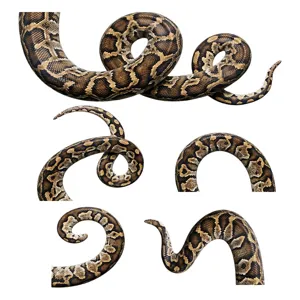 Halloween spaventoso pitone serpente adesivo per finestre PVC vetro scherzo decorazione camera