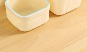 Nahaufnahme des Mini gerippten Kunststoff Desktop Aufbewahrungsbehälter Detail und Rand.