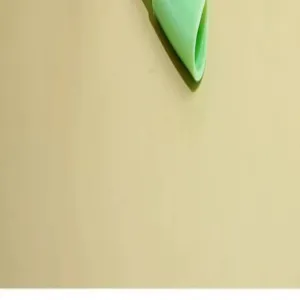 Primer plano de detalle de cepillo de taza de silicona verde, accesorio de limpieza flexible.