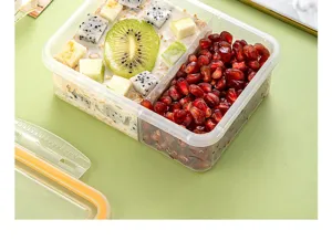 Portable double-compartment transparent plastic bento lunch box for fresh food storage and fruit.