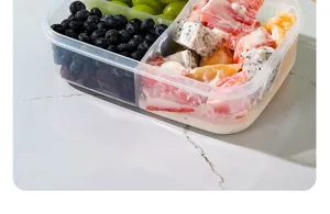 Λεπτομέρεια από διαφανές πλαστικό δοχείο φαγητού με χωρίσματα γεμάτα φρέσκα φρούτα.