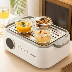Electric food steamer with stainless steel tray and glass bowls for household kitchen cooking.