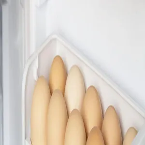 Detailed view of white plastic egg storage box arranged neatly for refrigerator side door use.