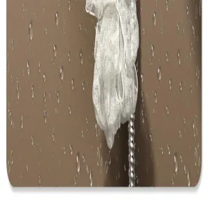 Gros plan sur le support de pommeau de douche avec mur de salle de bain et flexible.
