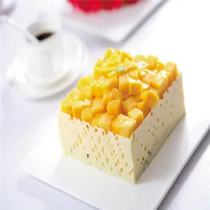 Gedetailleerde opname van een rechthoekige mangotaart met verse fruitblokjes en rand.
