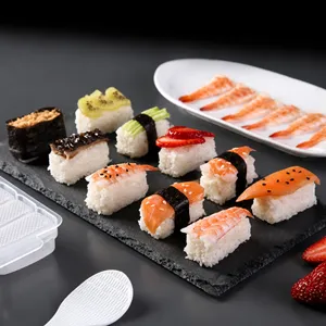 DIY sushi mal set voor het maken van tien rijstballen tegelijk keuken kookhulpmiddel